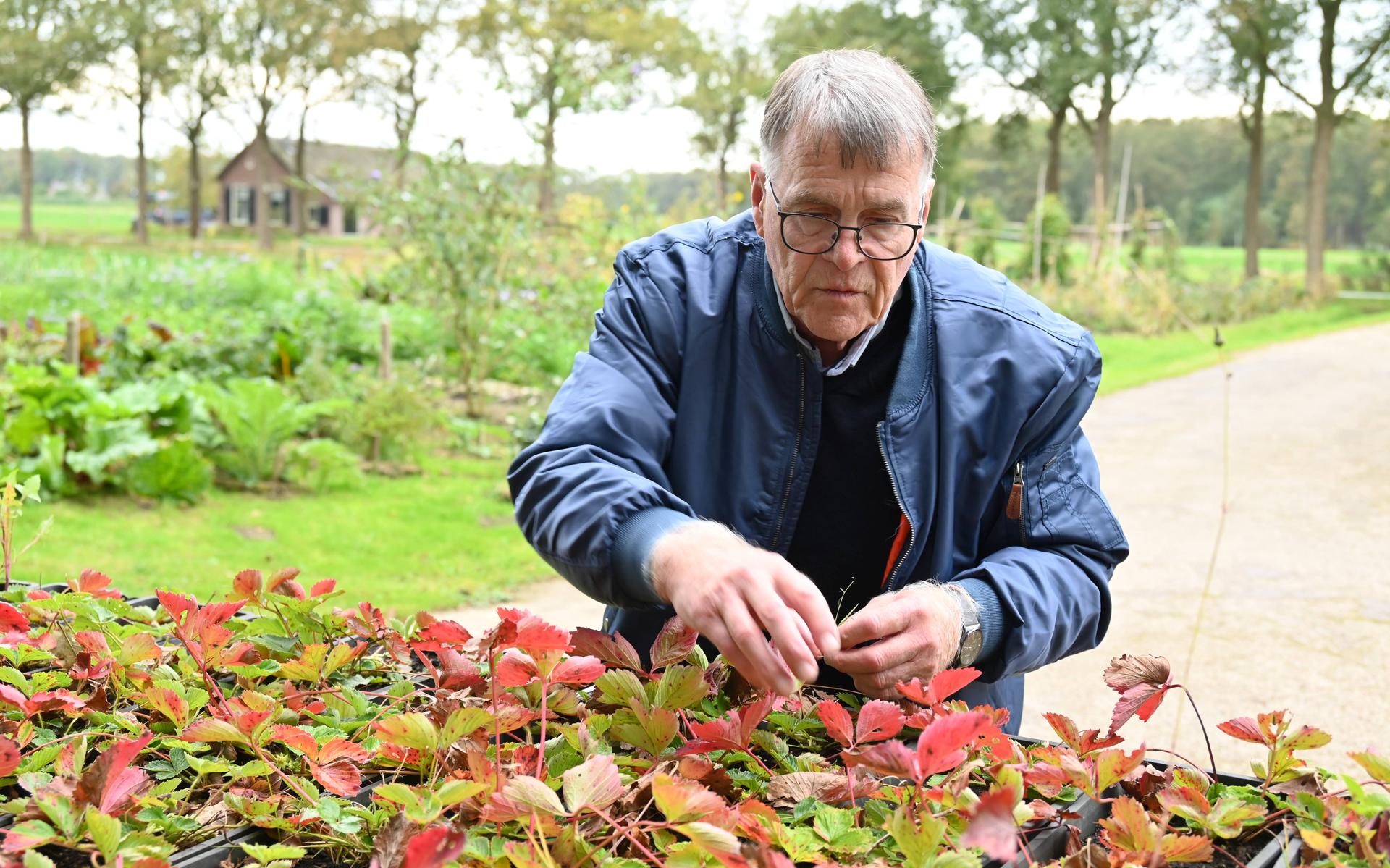 Sociale voedseltuin in Frederiksoord straalt rust uit: ‘Mensen kunnen ontdekken waar ze goed in zijn