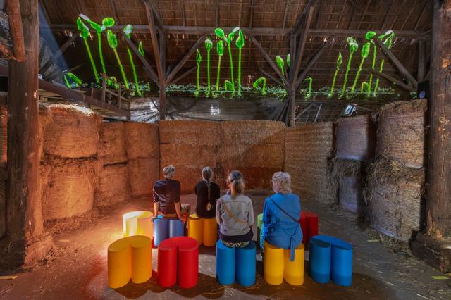 Bezoekers van kunstroute Open Stal in Oldeberkoop bekijken lichtprojecties van het Leeuwarder kunstenaarsduo Kroft&Smids in de stal van Boerderij Hof.