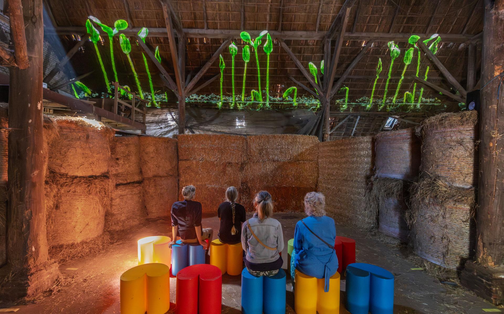 Bezoekers van kunstroute Open Stal in Oldeberkoop bekijken lichtprojecties van het Leeuwarder kunstenaarsduo Kroft&Smids in de stal van Boerderij Hof.