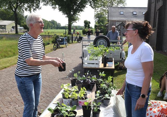 De plantjesmarkt bij de dorpskerk in Elsloo. 