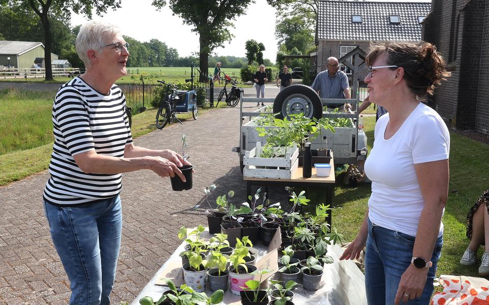 De plantjesmarkt bij de dorpskerk in Elsloo. 