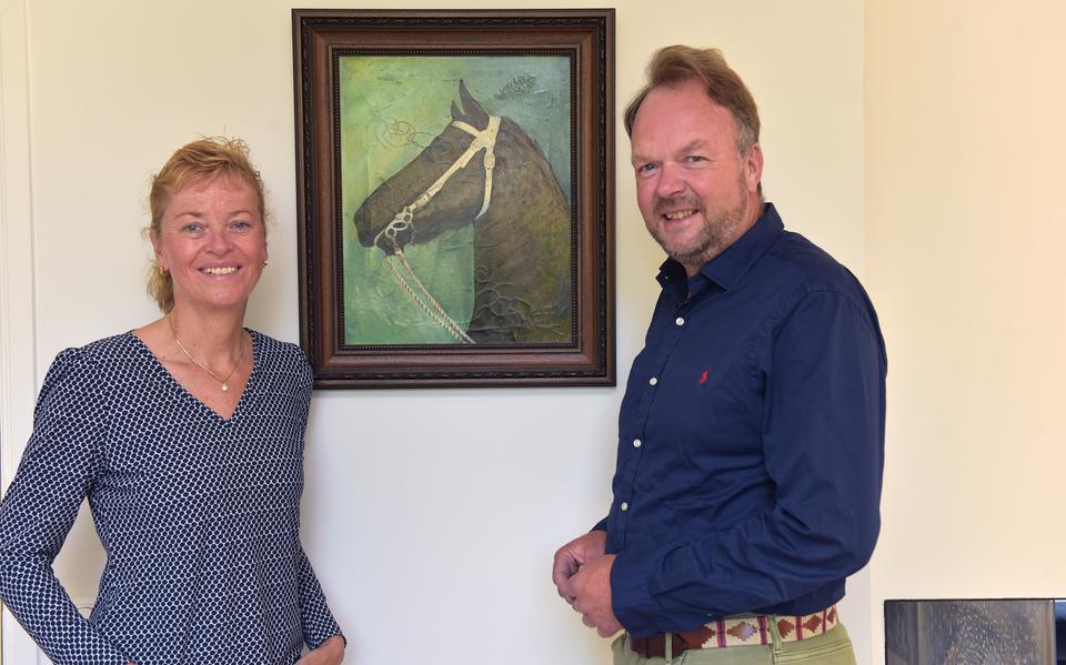 Bij de familie Haijtema in Oldeholtpade bleek in een doos van de overleden vader van Waling Haijtema een schilderij van een Fries paard te zitten. 