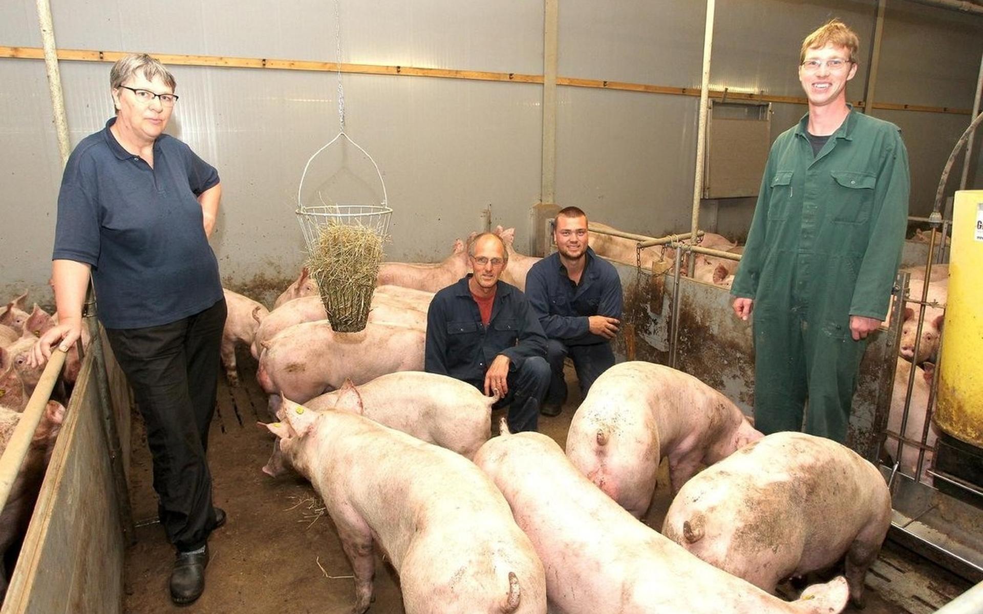 De Boer Op: ‘Melkvee en varkens gaan goed samen’