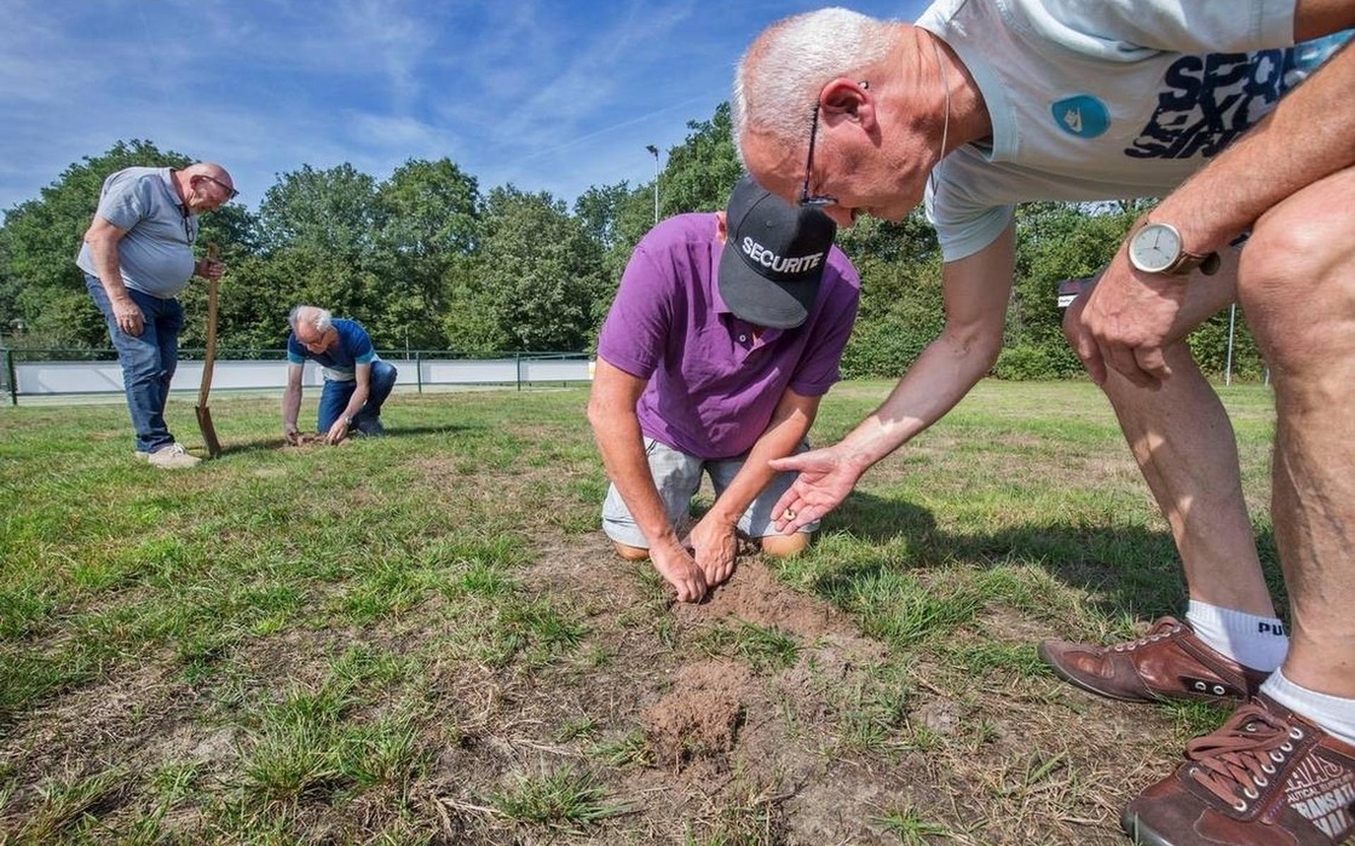 Larve en das teisteren sportvelden Noordwolde - Stellingwerf