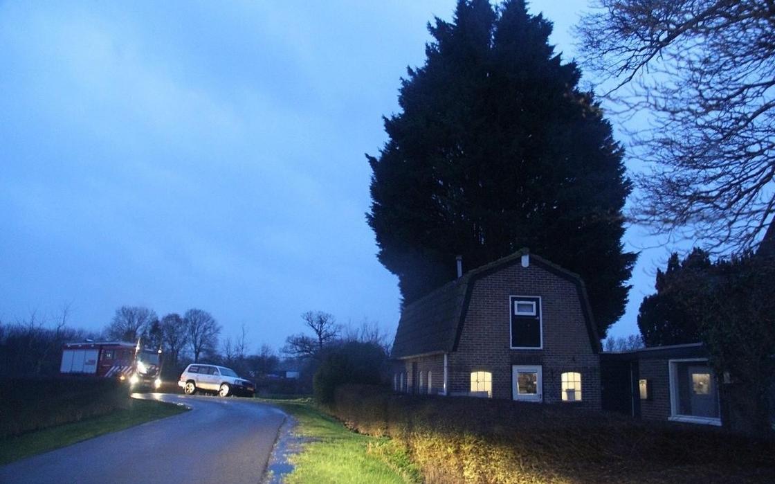 Boom aan de Oosterpaasloërweg zorgt voor gevaar voor naastgelegen woning in Paasloo - Stellingwerf