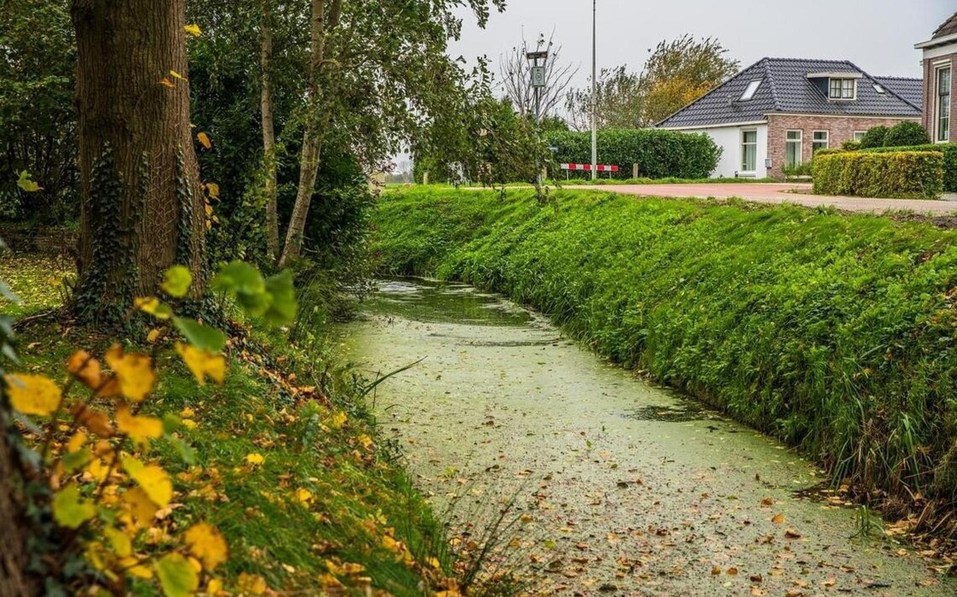 Over diepontwatering en de bakker die door de vloer zakte