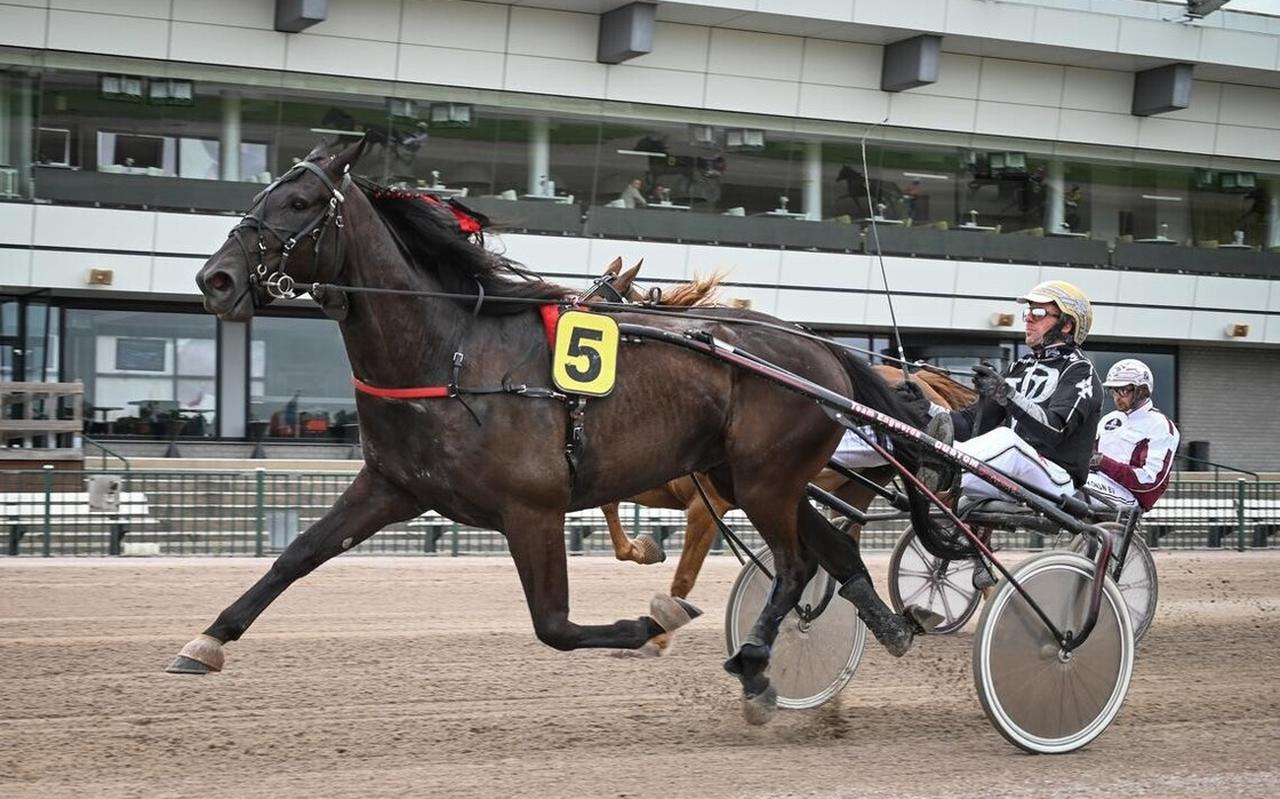 Vorig jaar juli werd nog de Prix de Wolvega gehouden, hier met Flevo Renka met pikeur (en wereldkampioen) Rick Ebbinga. Sinds de tweede lockdown is het al twee maanden stil op Victoria Park. Vorig jaar juli werd nog de Prix de Wolvega gehouden, hier met Flevo Renka met pikeur (en wereldkampioen) Rick Ebbinga. Sinds de tweede lockdown is het al twee maanden stil op Victoria Park.