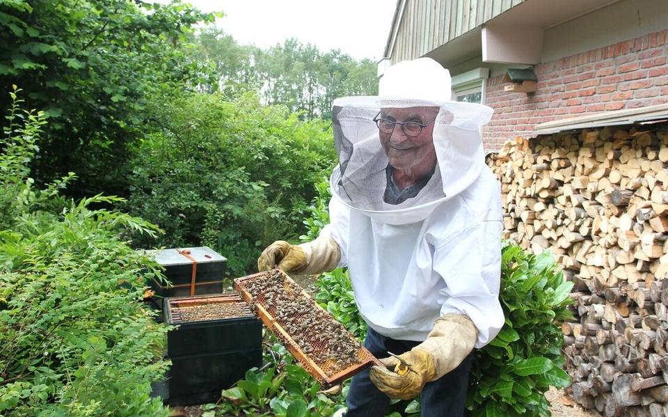 Harm Smid: ‘Als imker doe je alles in slow motion. Zolang de bijen zich niet bedreigd voelen, gebeurt er weinig’.
