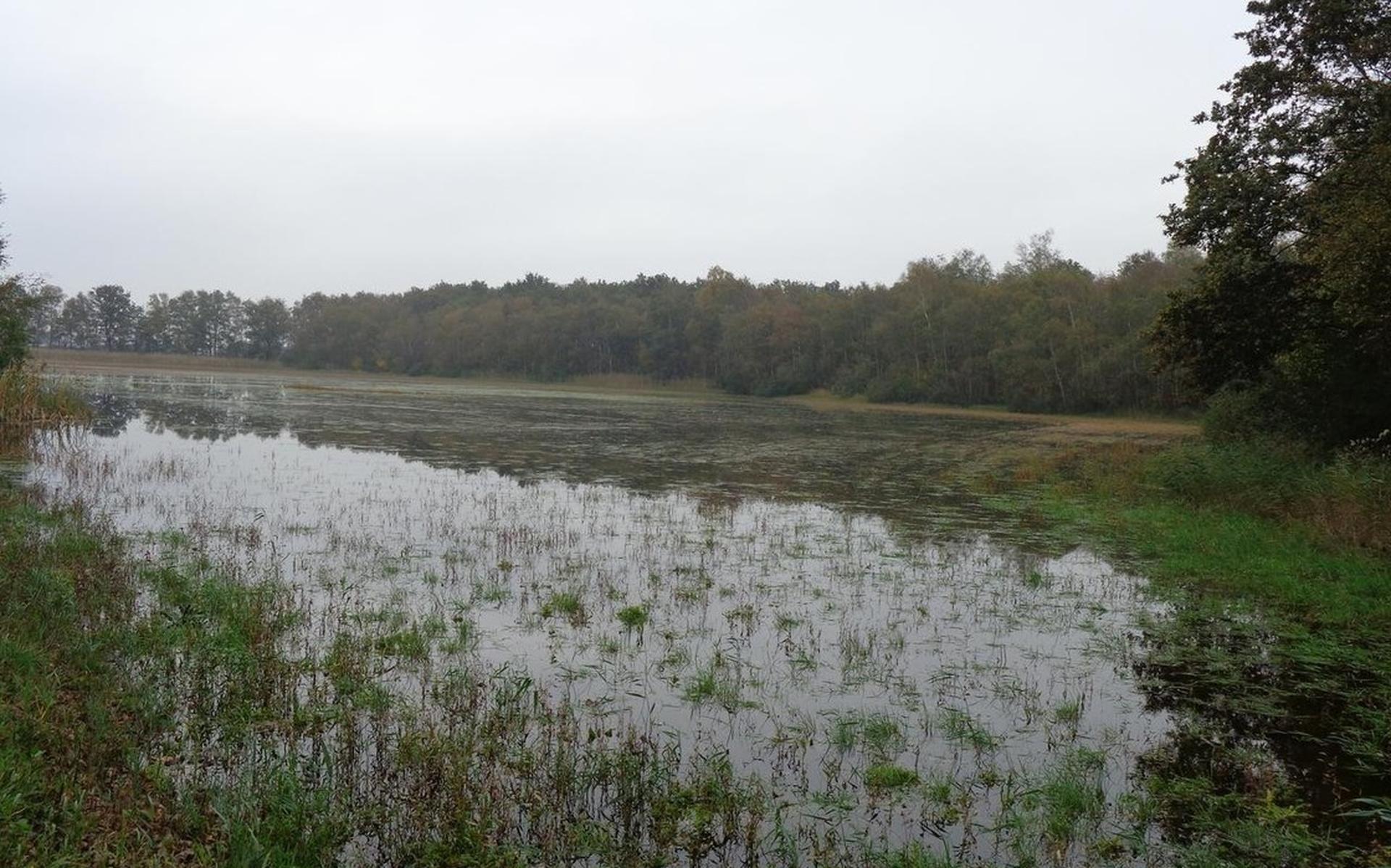 Moet ijsclub weer water oppompen in de Stobbepoele? - Stellingwerf