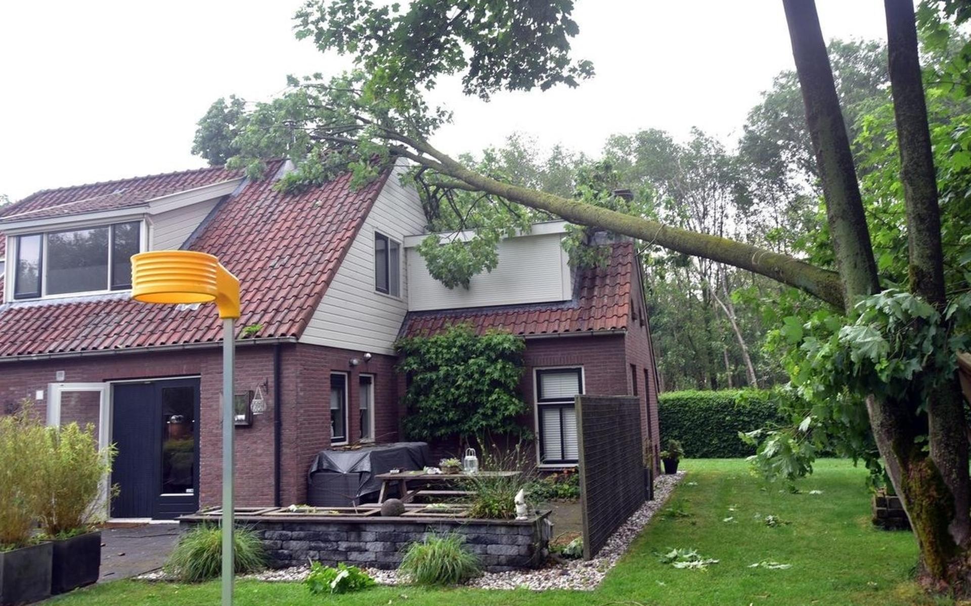 Veel stormschade in Sonnega-Nijelamer