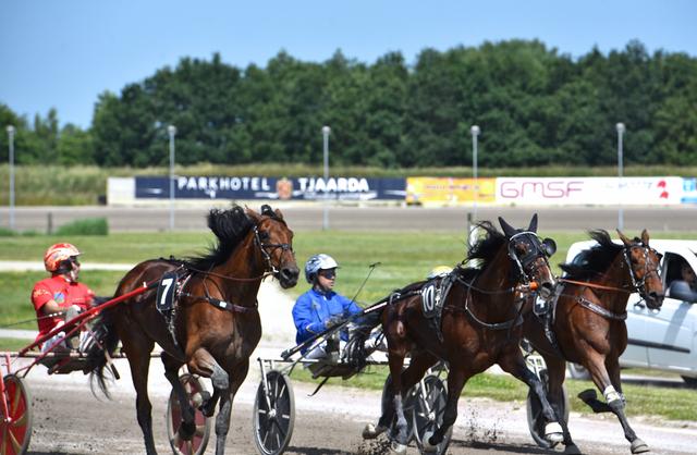 Michel Rothengatter wint met Omerta Boko (7).