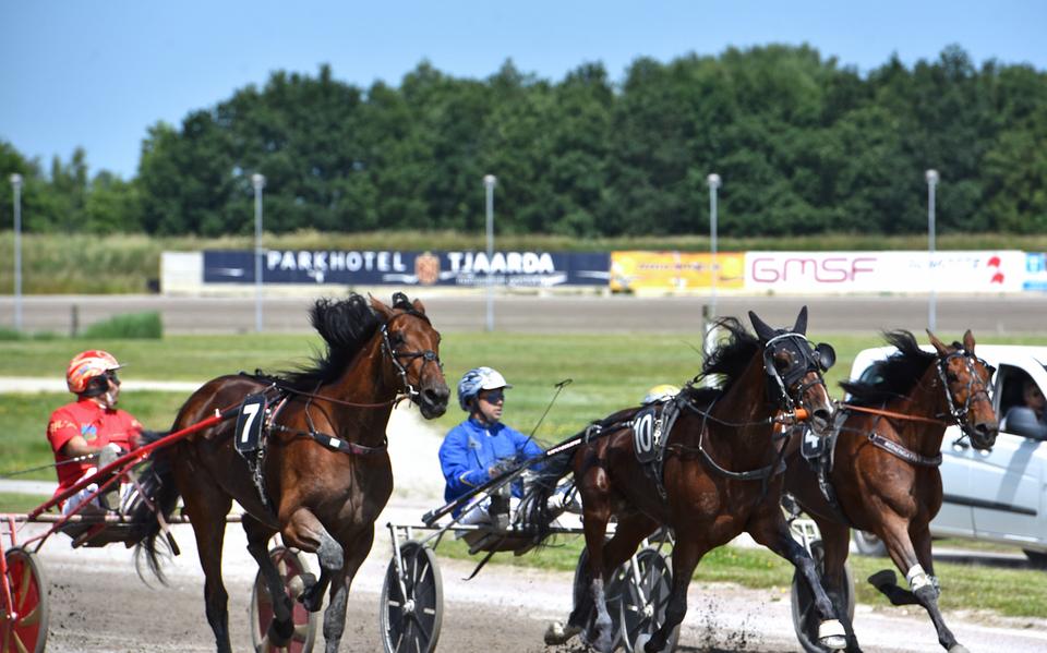 Michel Rothengatter wint met Omerta Boko (7).