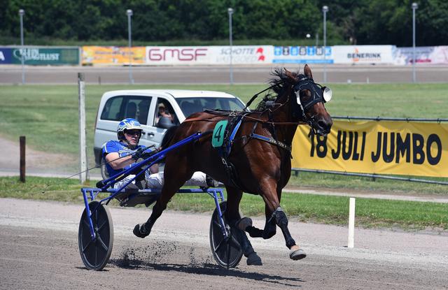Erwin Bot met Prishana Boko en Robin Bakker met Fragolino Rosso winnen op Victoria Park Wolvega