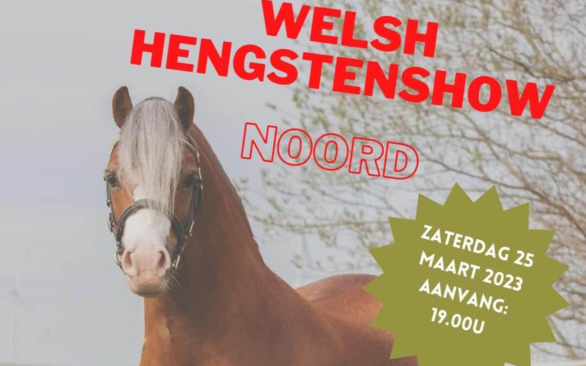 Welsh Hengstenshow Noord op 25 maart in manege De Caprilli Sonnega