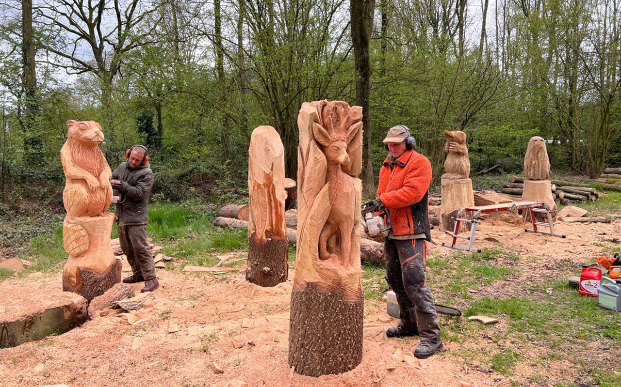Erik van der Leur uit Assen en Roel van Wijlick uit Venlo zijn samen bezig uit boomstammen elf beelden te maken. FOTO Piet Bosma