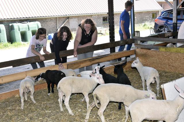 Biologische kaasboerderij Langelaan in Blesdijke houdt een open dag.