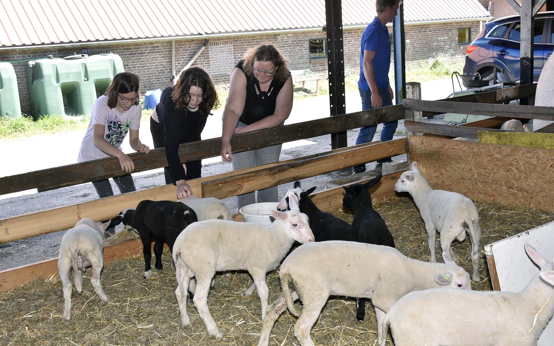 Biologische kaasboerderij Langelaan in Blesdijke houdt een open dag.