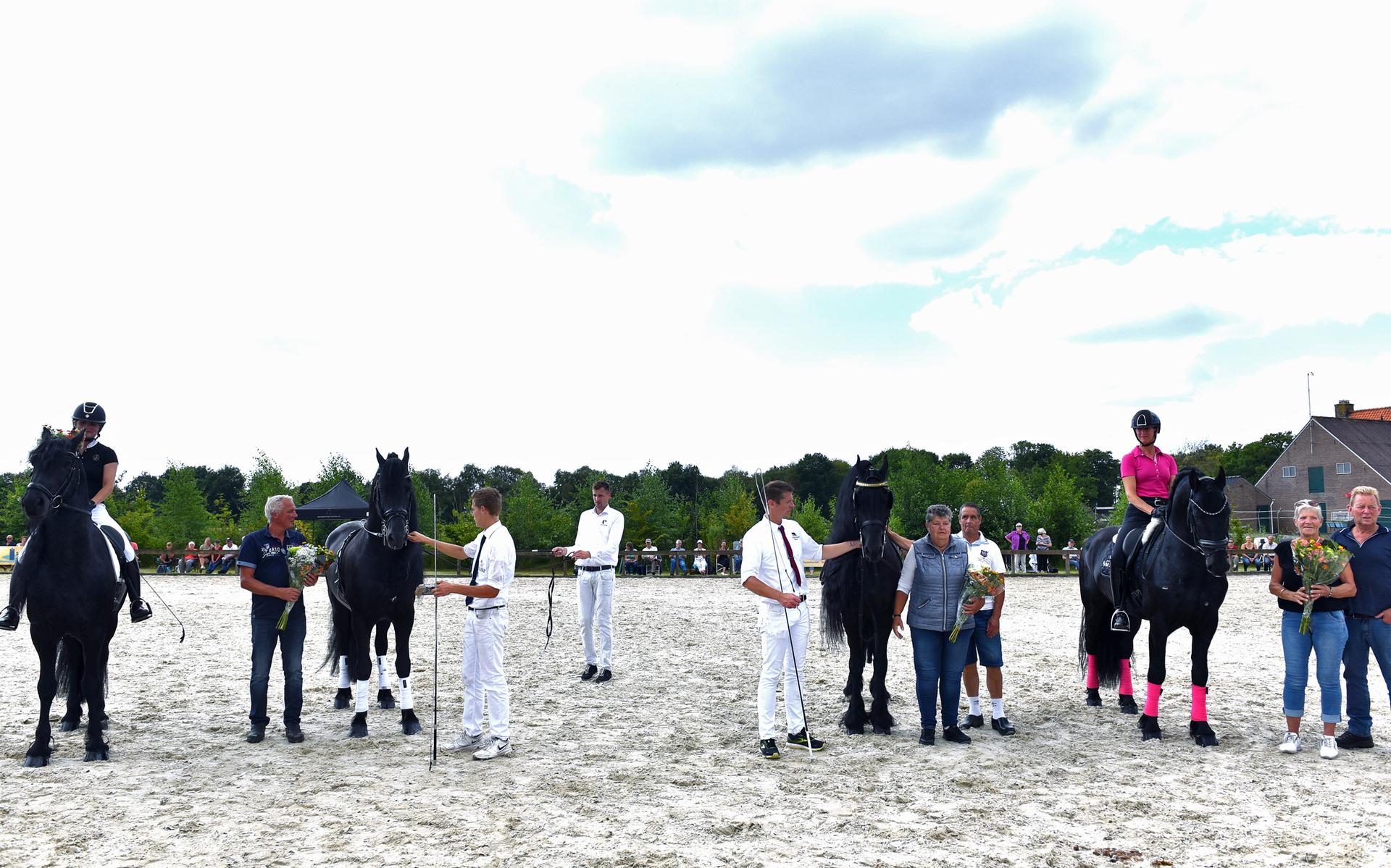 Invasie van Friese paarden in Boijl - Stellingwerf