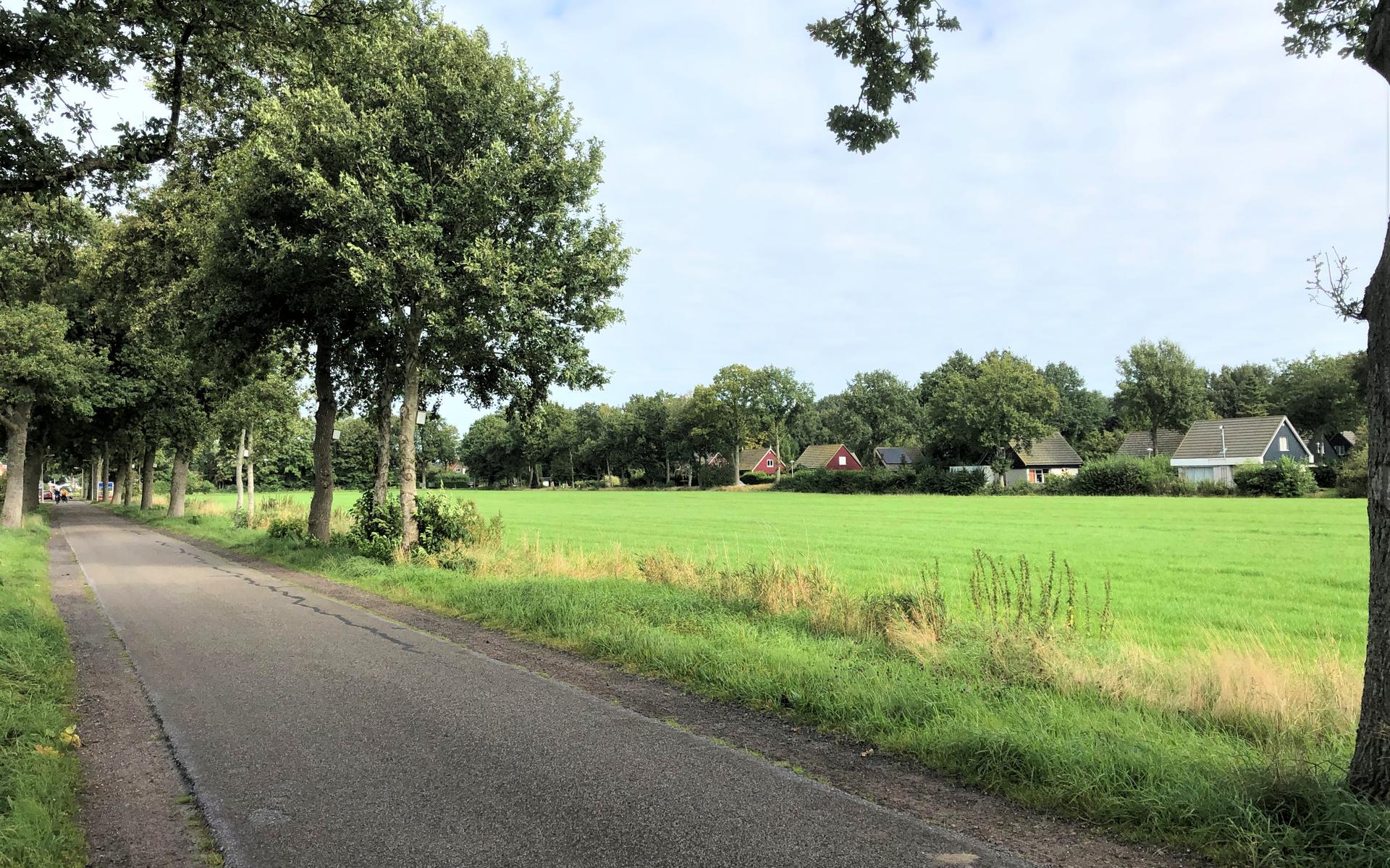 Nieuwe poging voor bouwen aan Boschoordweg in Boijl. 'De wijk moet duurzaam en groen zijn' - Stellin