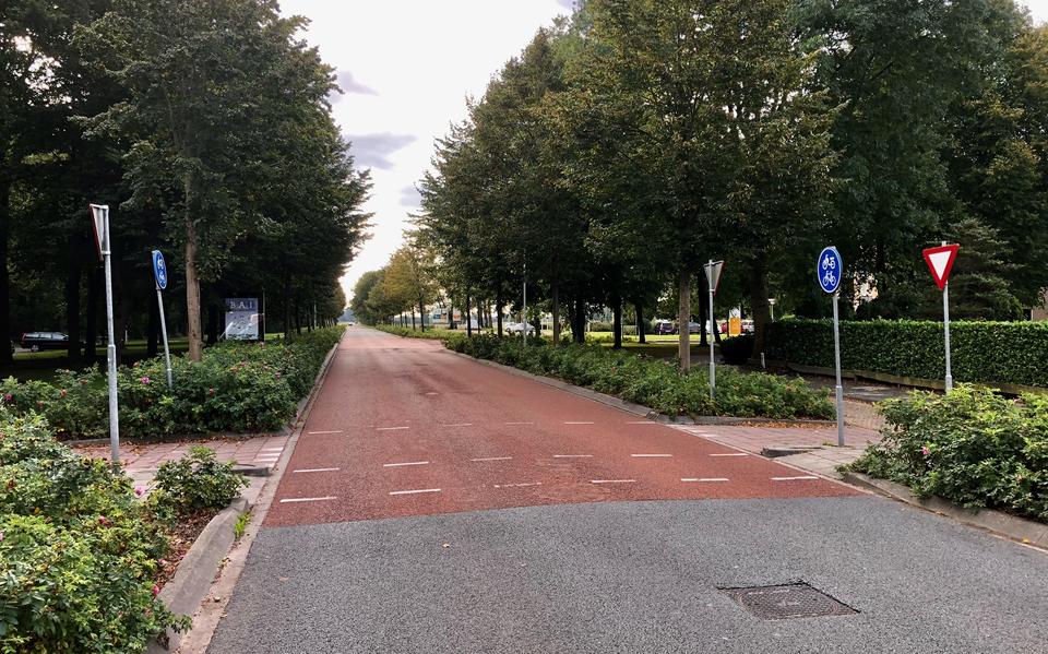 Foto: Lourens Looijenga