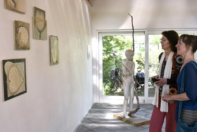 Drie kunstenaars exposeren in Wonderkamers in Nijeholtwolde