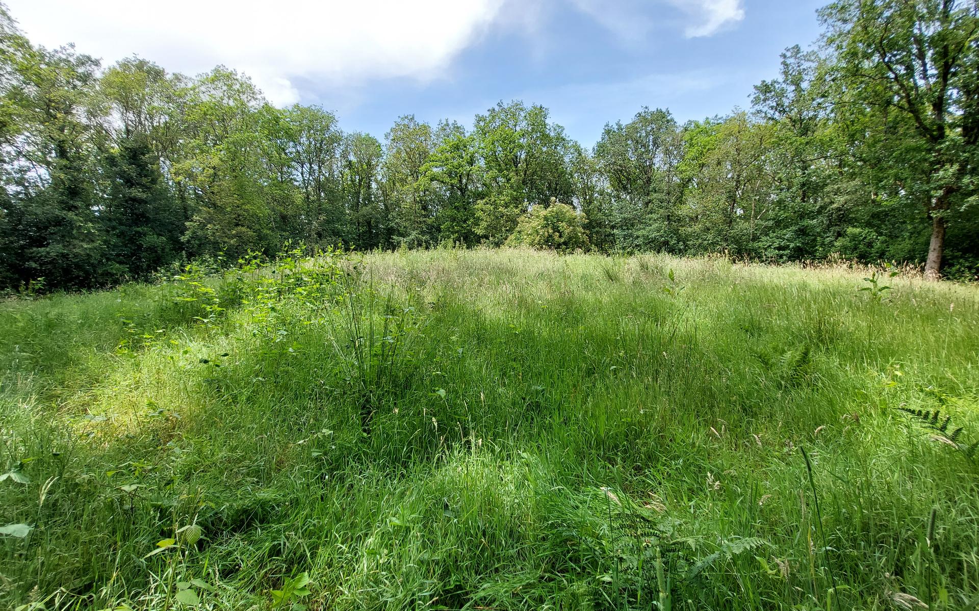 Projecten in Blesdijke, Sonnega-Oldetrijne, Noordwolde, Oldeberkoop en Donkerbroek ontvangen IMF-sub