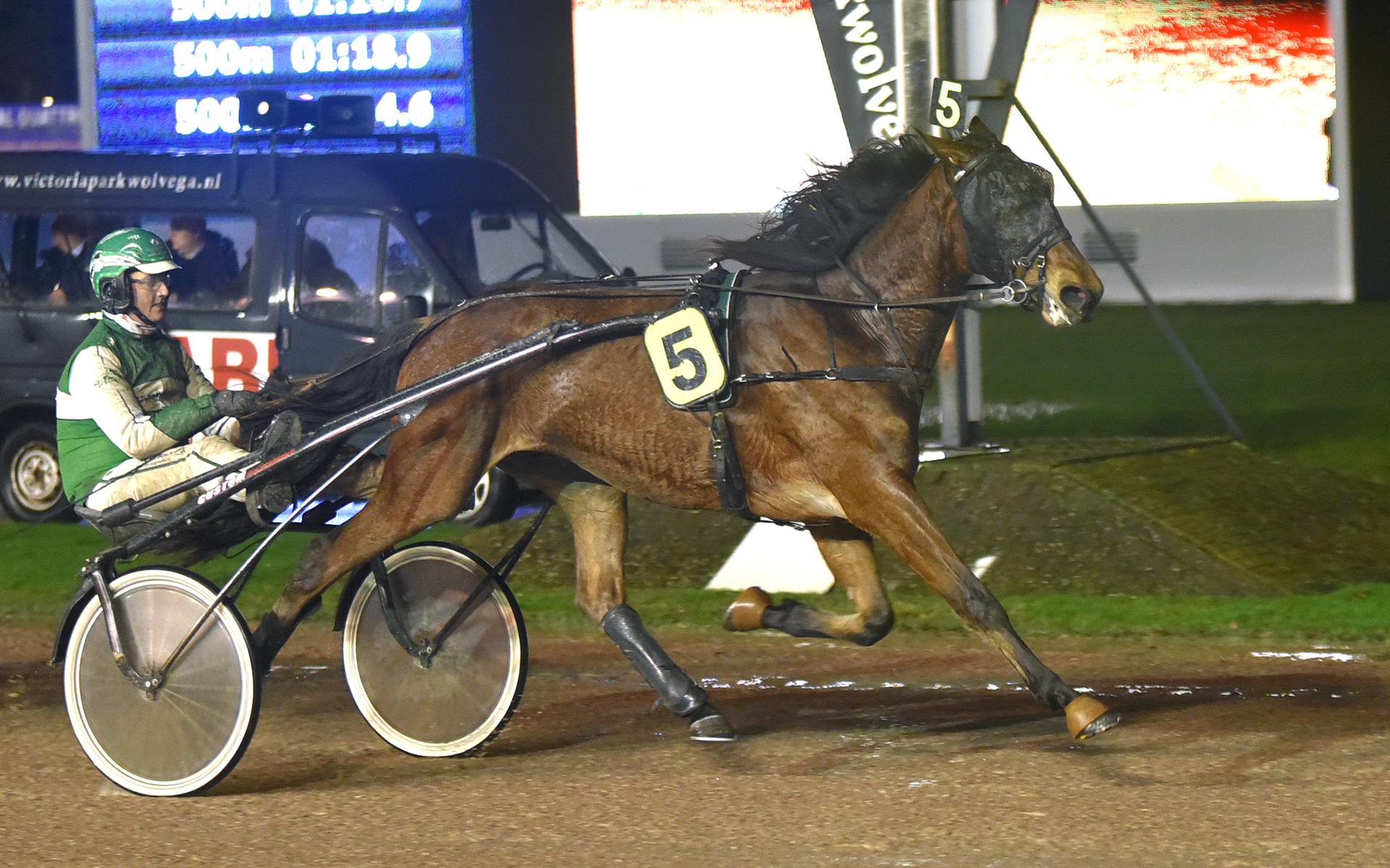 Diese Idiotie zerstört den Sport.  Pikeur Robin Bakker prangert neue Regeln für den Gebrauch der Peitsche an