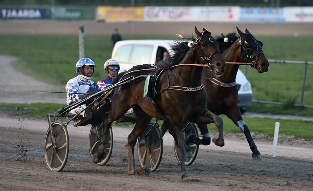 Jeffrey Mieras wint met Novato op Victoria Park