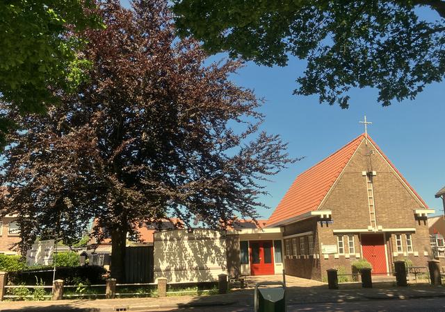 Kappen rode beuk in Noordwolde zorgt voor discussie, maar kerk zegt geen andere keus te hebben