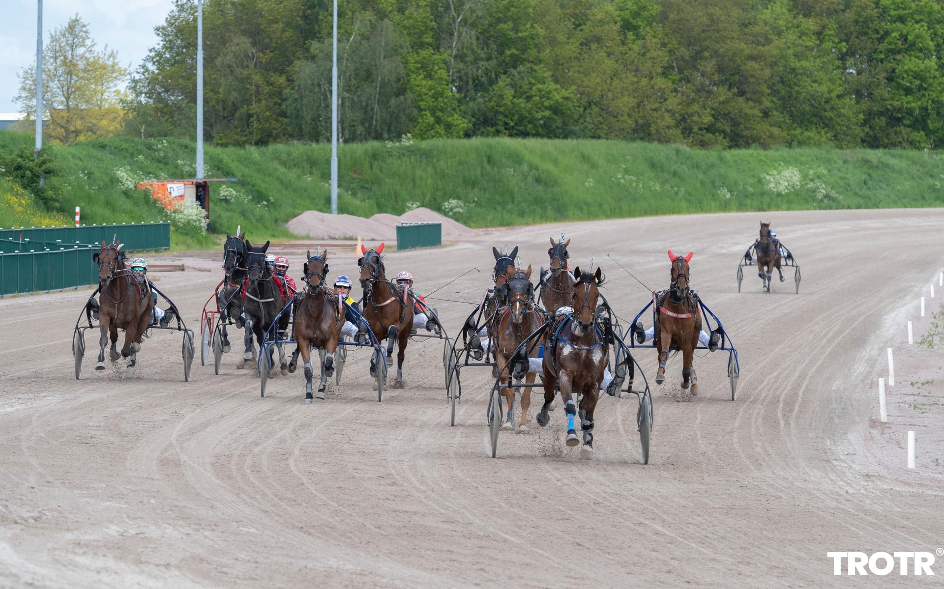 Franse draver wint voor Sportstichting Dol Fijn: daarmee staat teller voor 2021 op 3600 euro - Stell