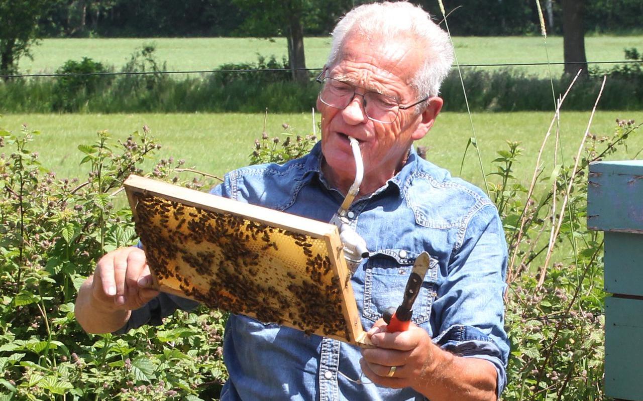 Liefbebberij Jaap Lageveld Oldeholtpade Liefbebberij Jaap Lageveld Oldeholtpade