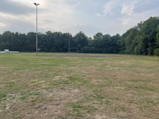 De huidige situatie op het veld van Leonidas.