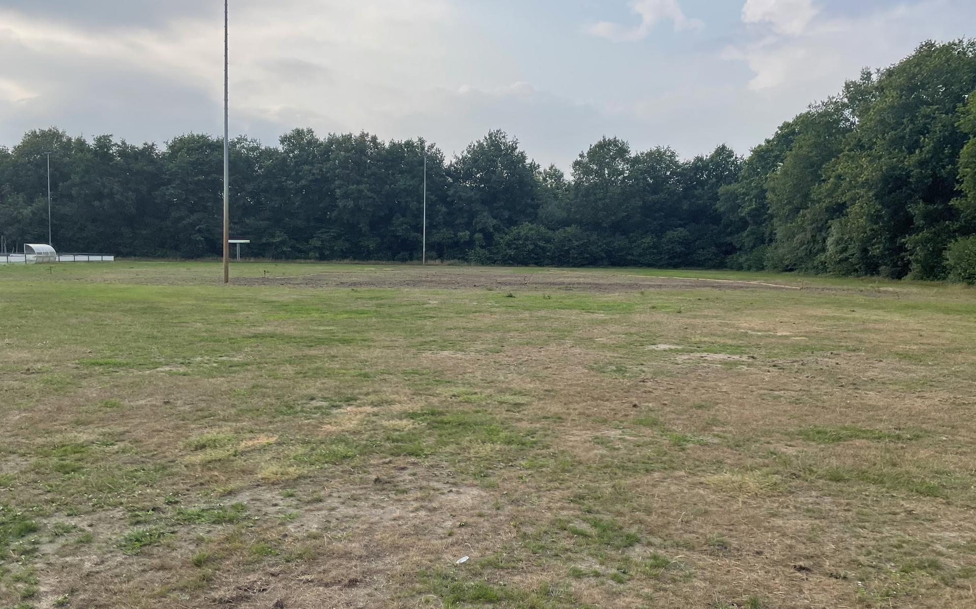 De huidige situatie op het veld van Leonidas.