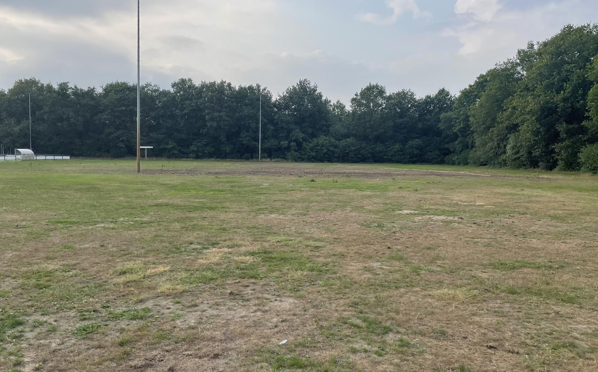 De huidige situatie op het veld van Leonidas.