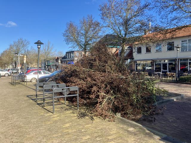 Bomen in Noordwolde slachtoffer van werkzaamheden in centrum