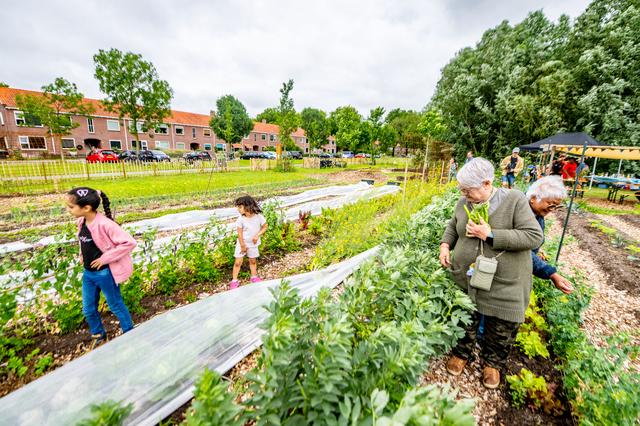 De sociale voedseltuin wint gestaag terrein in Fryslân. Vijfde locatie opent bij Wolvega