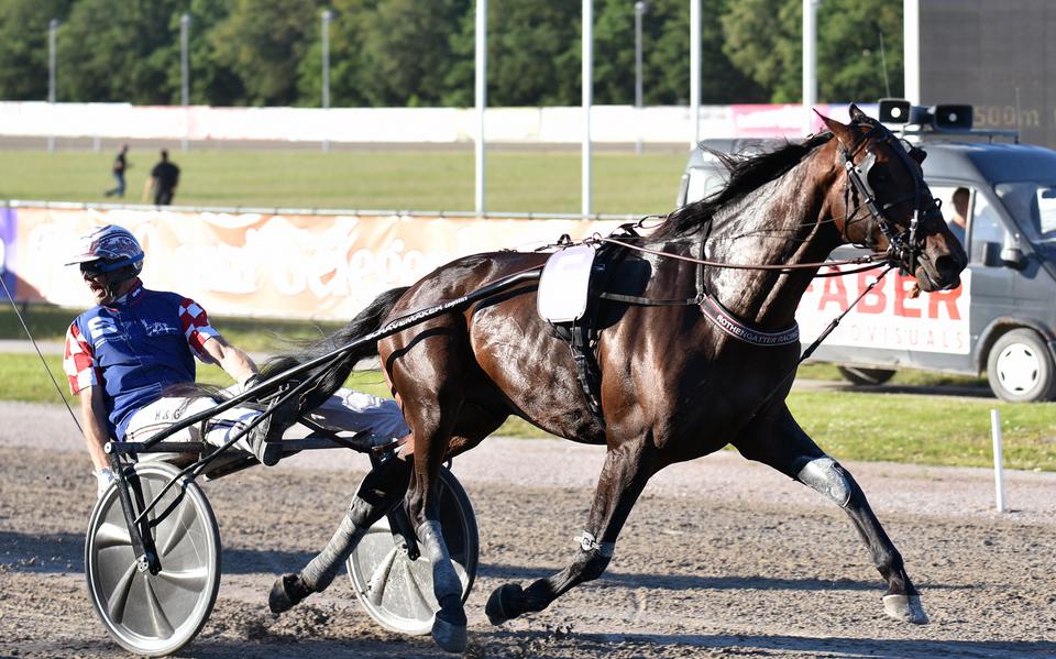 Victoria Park In Wolvega Was Zaterdag Het Decor Van Trotting Classics ...