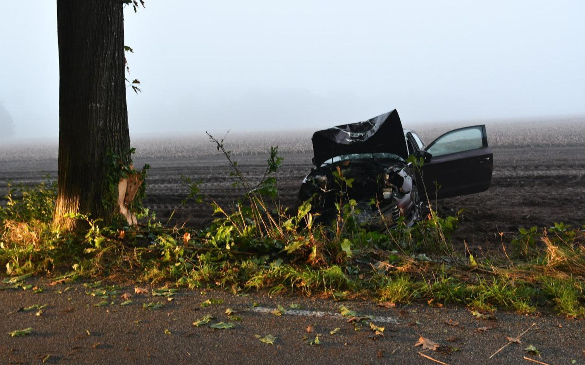 Auto botst tegen boom in Elsloo, 20-jarige bestuurder ernstig gewond - Stellingwerf